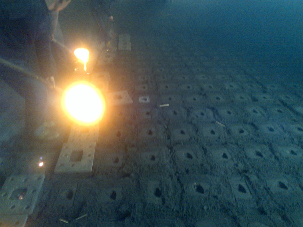 Malleable OEM Service Iron Pigtail Hot DIP